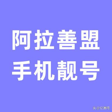 阿拉善顺子车牌号多少钱能买，车牌靓号出售