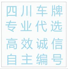 湘西车牌靓号代办，车牌顺子购买渠道