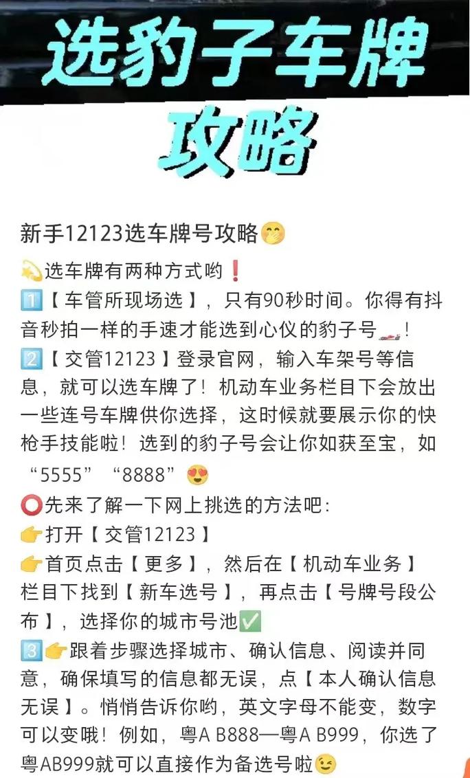 绵阳网上自编车牌号码技巧，选车号怎样能选到好号