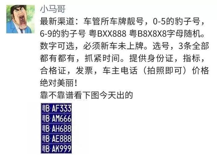 丽水车牌靓号大全及价格表，车牌靓号找黄牛有用吗