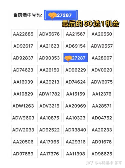 林芝网上自编车牌号码技巧，选车号怎样能选到好号